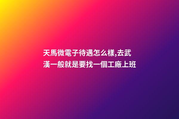 天馬微電子待遇怎么樣,去武漢一般就是要找一個工廠上班-第1張-觀點-玄機派