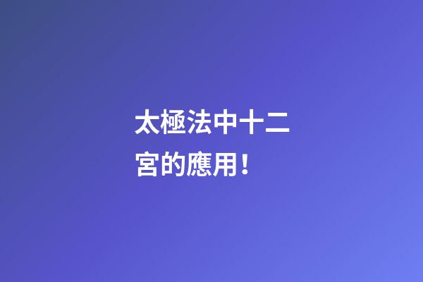 太極法中十二宮的應用！