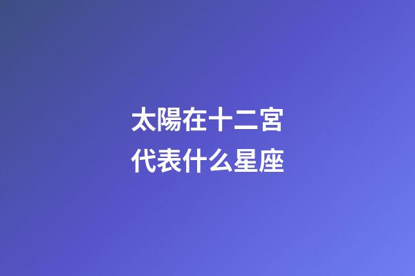 太陽在十二宮代表什么星座-第1張-星座運(yùn)勢-玄機(jī)派
