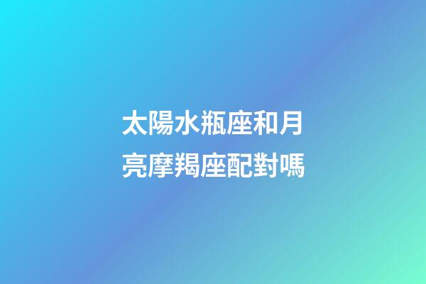 太陽水瓶座和月亮摩羯座配對嗎-第1張-星座運(yùn)勢-玄機(jī)派