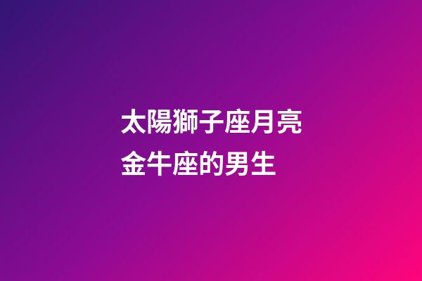 太陽獅子座月亮金牛座的男生-第1張-星座運勢-玄機派