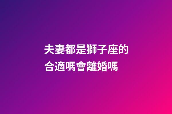 夫妻都是獅子座的合適嗎會離婚嗎-第1張-星座運勢-玄機派