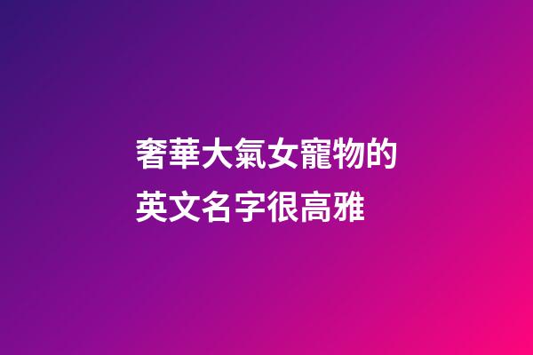 奢華大氣女寵物的英文名字很高雅