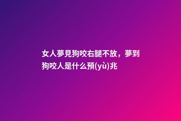 女人夢見狗咬右腿不放，夢到狗咬人是什么預(yù)兆-第1張-觀點(diǎn)-玄機(jī)派
