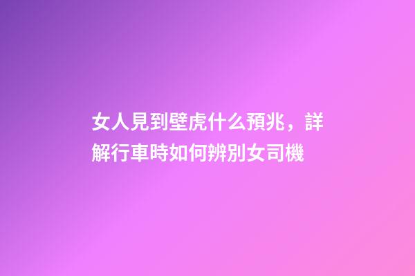 女人見到壁虎什么預兆，詳解行車時如何辨別女司機-第1張-觀點-玄機派