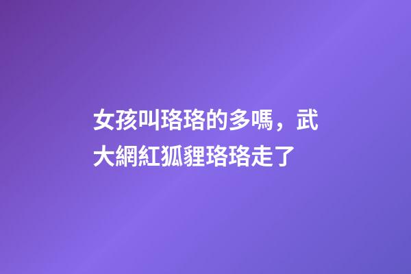 女孩叫珞珞的多嗎，武大網紅狐貍珞珞走了-第1張-觀點-玄機派
