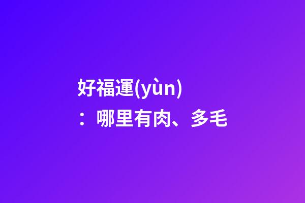 好福運(yùn)：哪里有肉、多毛