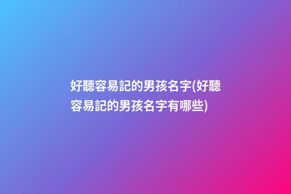 好聽容易記的男孩名字(好聽容易記的男孩名字有哪些)