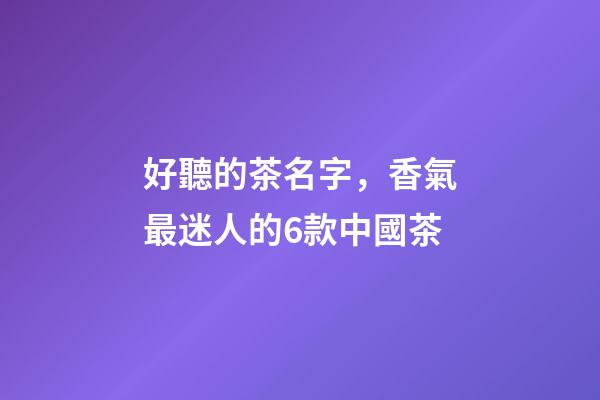 好聽的茶名字，香氣最迷人的6款中國茶-第1張-觀點-玄機派