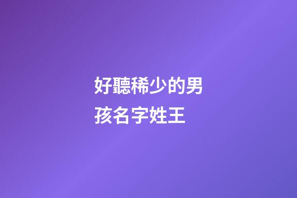好聽稀少的男孩名字姓王(男孩姓王有氣質名字)-第1張-男孩起名-玄機派