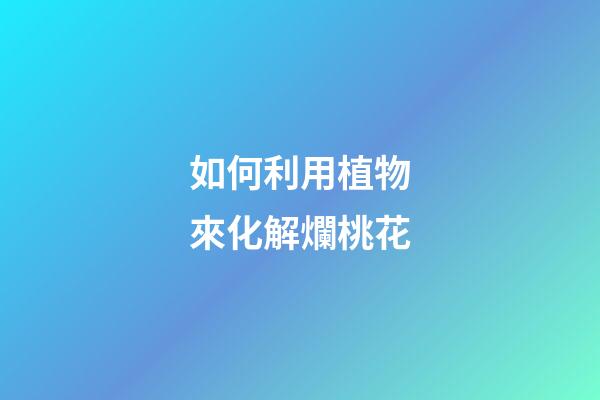 如何利用植物來化解爛桃花