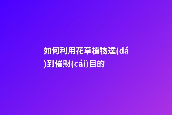如何利用花草植物達(dá)到催財(cái)目的