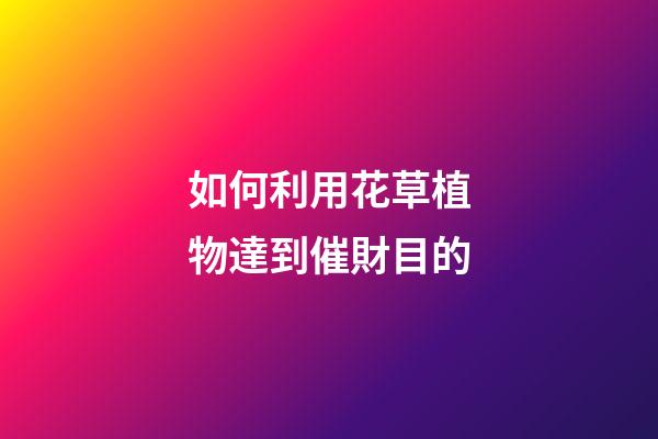 如何利用花草植物達到催財目的