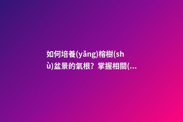 如何培養(yǎng)榕樹(shù)盆景的氣根？掌握相關(guān)技巧