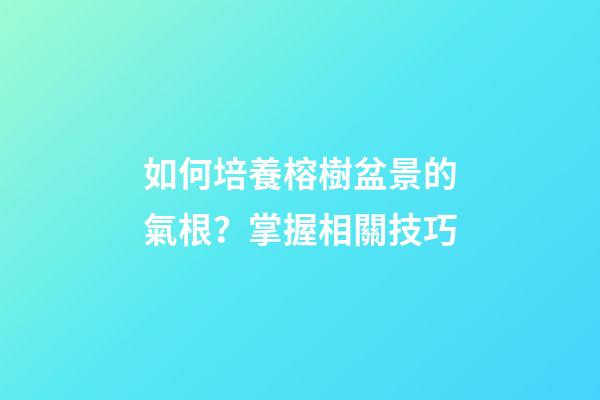 如何培養榕樹盆景的氣根？掌握相關技巧