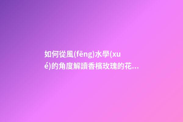 如何從風(fēng)水學(xué)的角度解讀香檳玫瑰的花語？（香檳玫瑰的花語和象征）