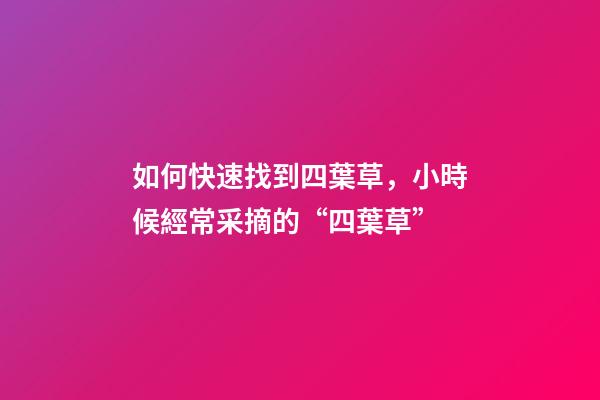 如何快速找到四葉草，小時候經常采摘的“四葉草”-第1張-觀點-玄機派
