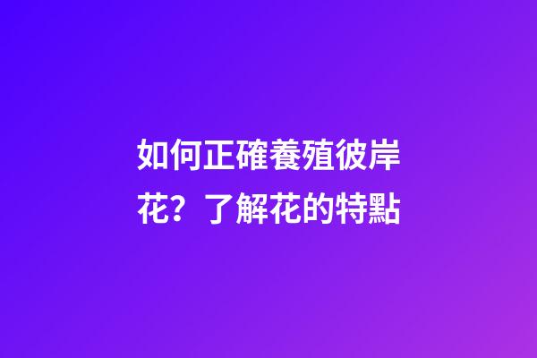 如何正確養殖彼岸花？了解花的特點