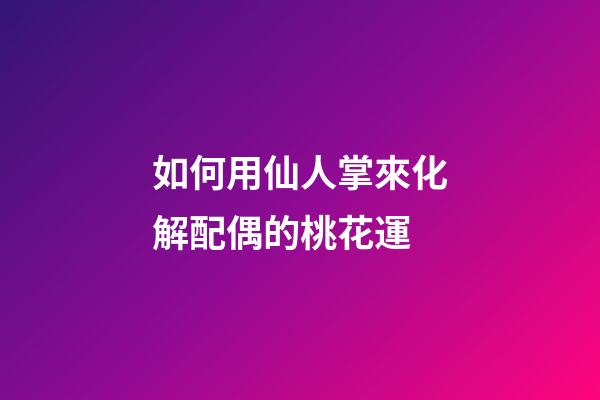 如何用仙人掌來化解配偶的桃花運