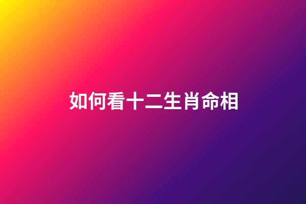 如何看十二生肖命相