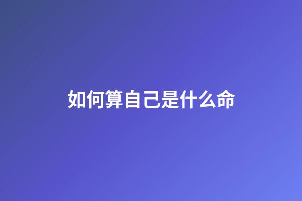 如何算自己是什么命