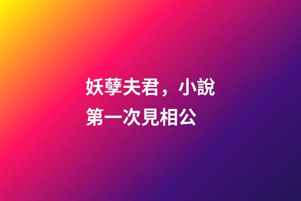 妖孽夫君，小說第一次見相公-第1張-觀點-玄機派