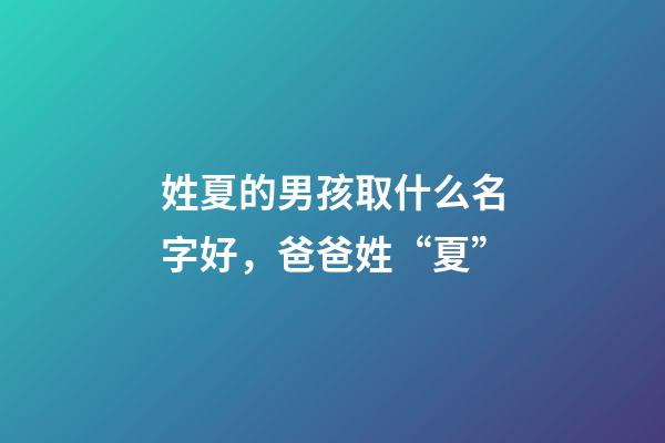 姓夏的男孩取什么名字好，爸爸姓“夏”-第1張-觀點-玄機派