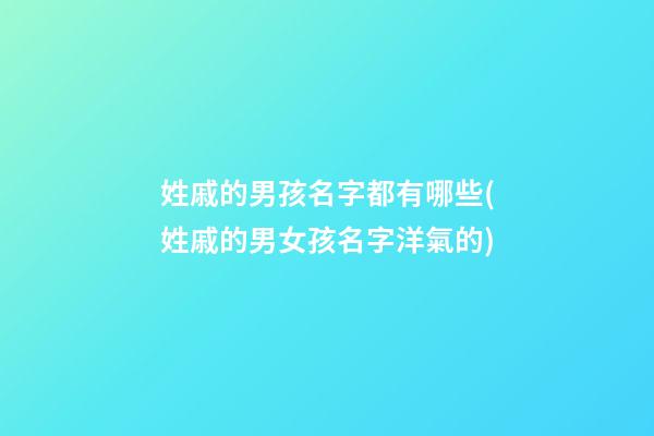 姓戚的男孩名字都有哪些(姓戚的男女孩名字洋氣的)