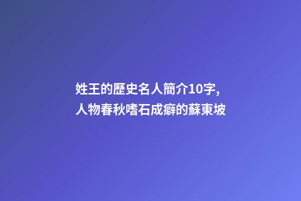 姓王的歷史名人簡介10字,人物春秋嗜石成癖的蘇東坡-第1張-觀點-玄機派