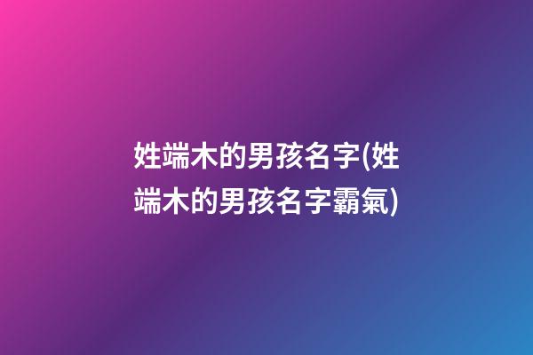 姓端木的男孩名字(姓端木的男孩名字霸氣)