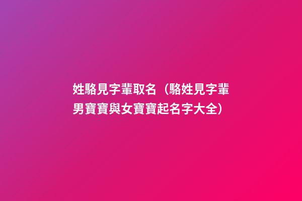 姓駱見字輩取名（駱姓見字輩男寶寶與女寶寶起名字大全）
