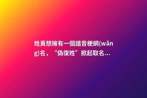 姓黃想擁有一個諧音梗網(wǎng)名，“偽復姓”掀起取名新潮流-第1張-觀點-玄機派