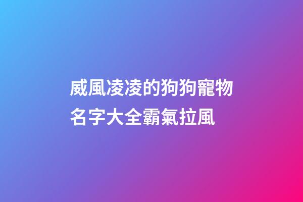 威風凌凌的狗狗寵物名字大全霸氣拉風