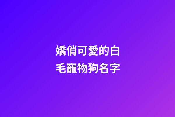 嬌俏可愛的白毛寵物狗名字