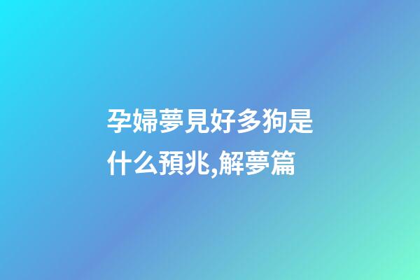 孕婦夢見好多狗是什么預兆,解夢篇(二)-第1張-觀點-玄機派