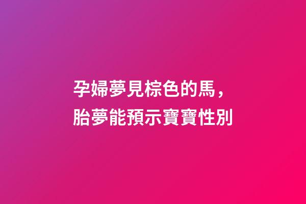 孕婦夢見棕色的馬，胎夢能預示寶寶性別-第1張-觀點-玄機派