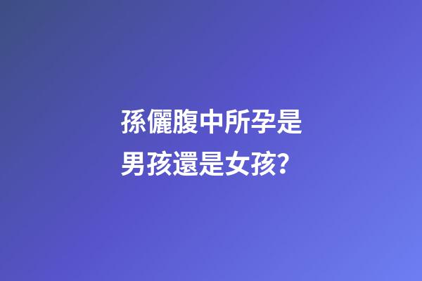 孫儷腹中所孕是男孩還是女孩？