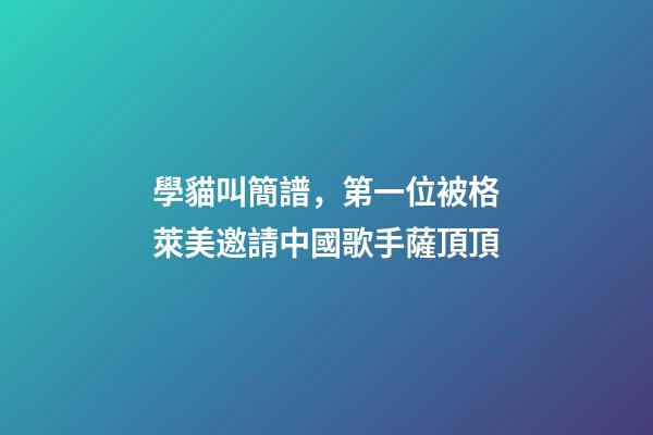 學貓叫簡譜，第一位被格萊美邀請中國歌手薩頂頂-第1張-觀點-玄機派