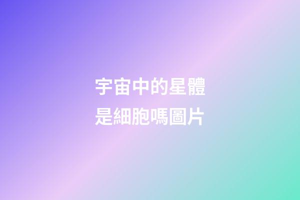 宇宙中的星體是細胞嗎圖片