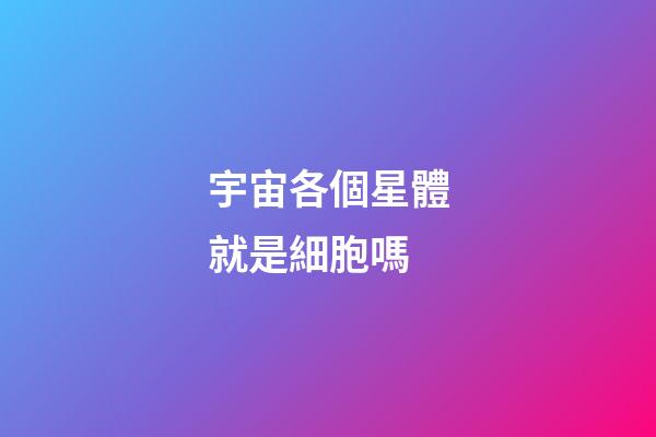 宇宙各個星體就是細胞嗎