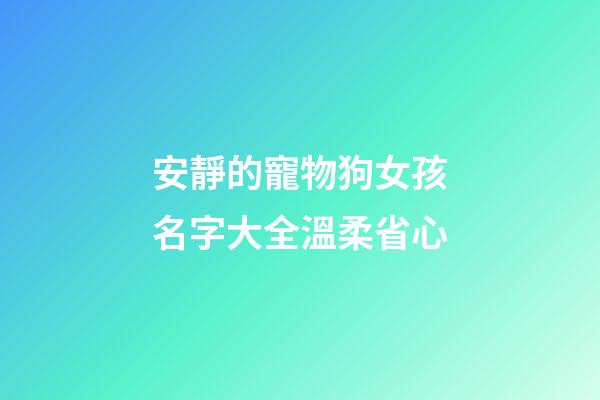 安靜的寵物狗女孩名字大全溫柔省心