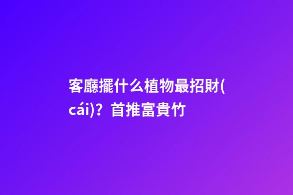 客廳擺什么植物最招財(cái)？首推富貴竹