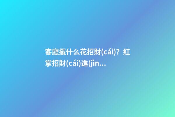 客廳擺什么花招財(cái)？紅掌招財(cái)進(jìn)寶