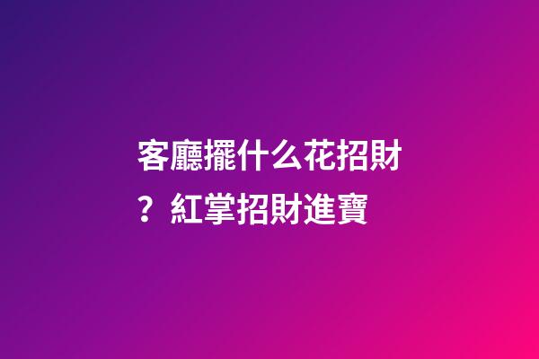 客廳擺什么花招財？紅掌招財進寶
