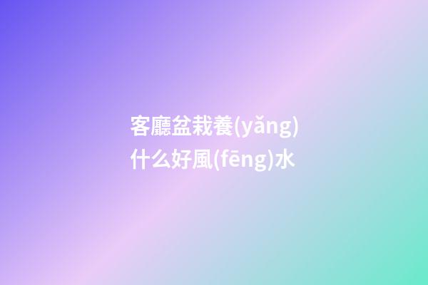 客廳盆栽養(yǎng)什么好風(fēng)水