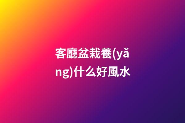 客廳盆栽養(yǎng)什么好風水
