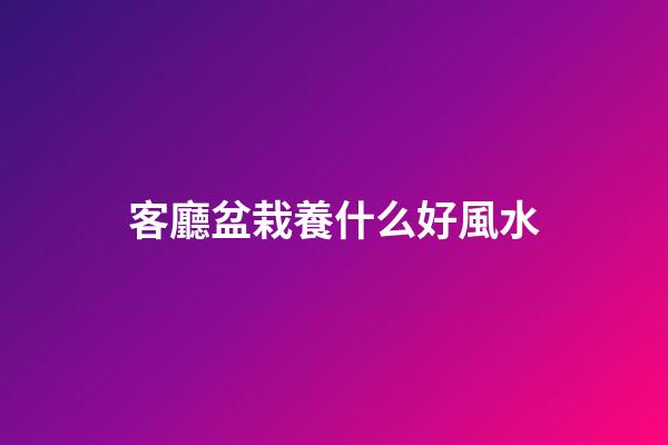 客廳盆栽養什么好風水