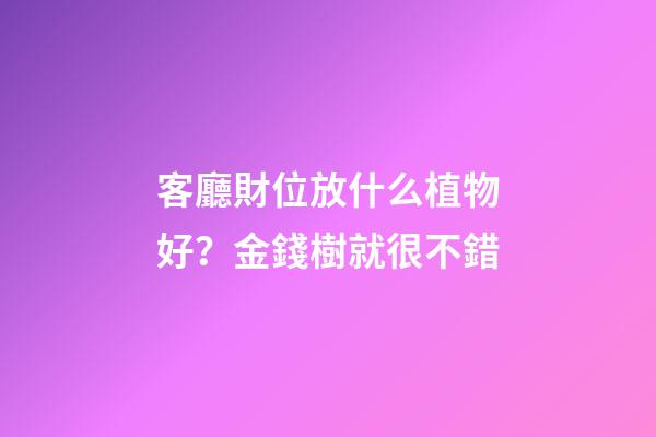 客廳財位放什么植物好？金錢樹就很不錯