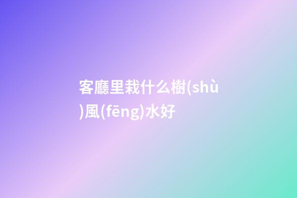 客廳里栽什么樹(shù)風(fēng)水好