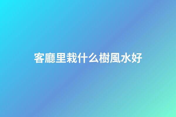 客廳里栽什么樹風水好